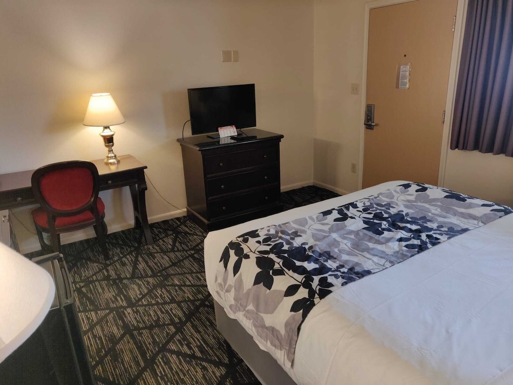 Skyline Motor Inn - photo 7