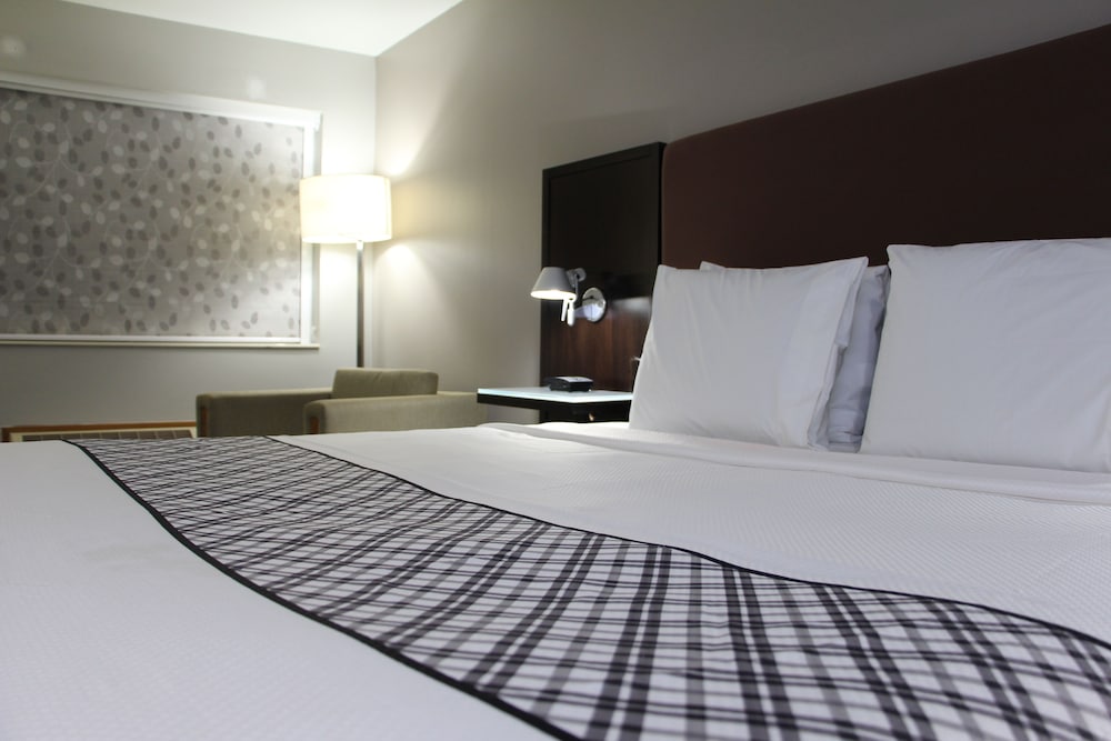 Westbridge Inn & Suites Carrollton - photo 7