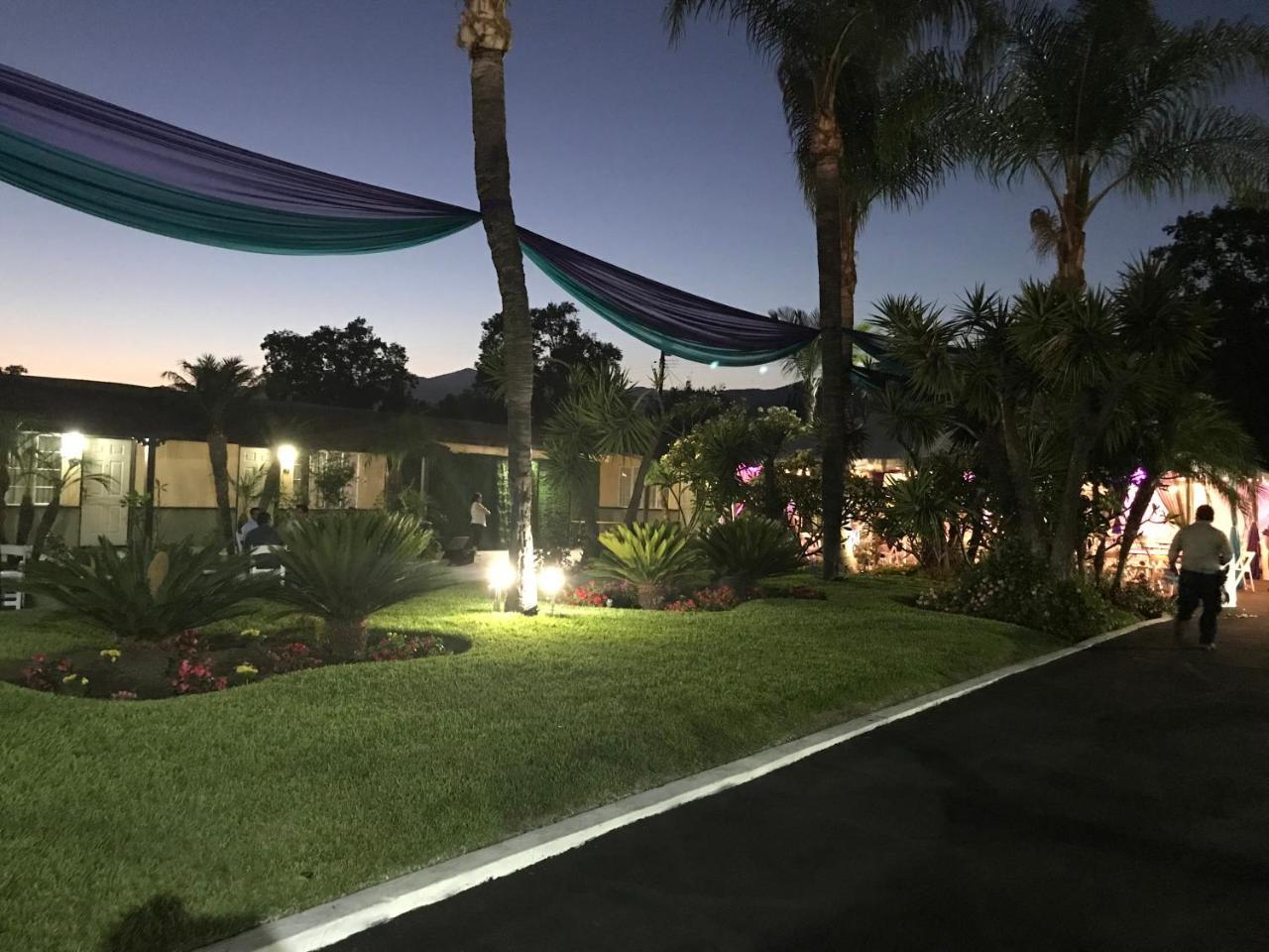 Palm Tropics Motel - photo 28