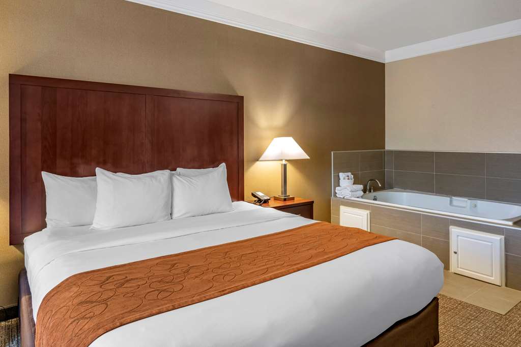 Comfort Suites Linn County - photo 20