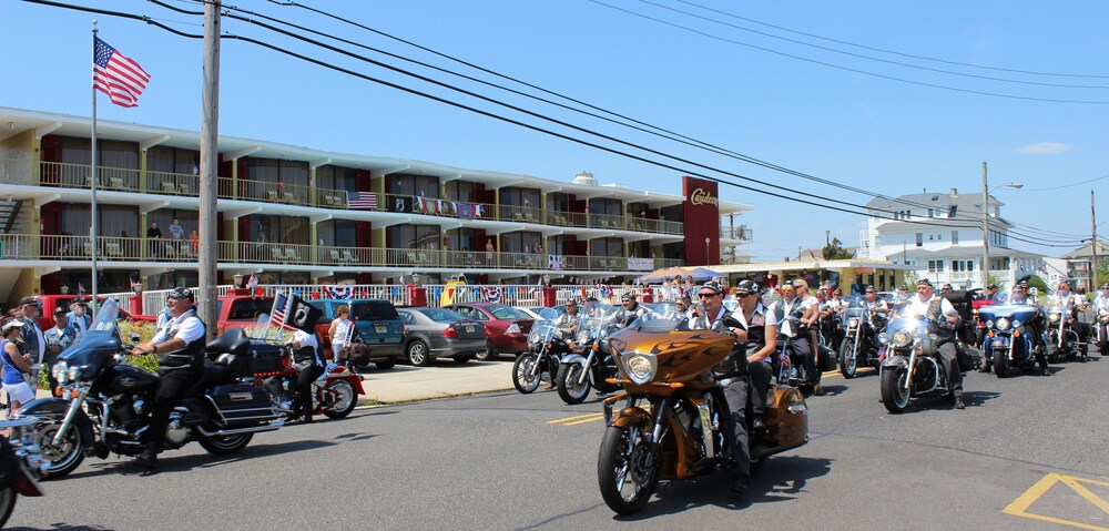 The Carideon Motel - photo 28