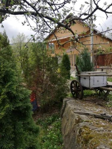 Piatra Mare Nehoiu 1 — hotel in Nehoiu