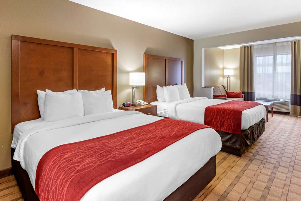 Comfort Inn & Suites Cedar Rapids North Collins Road - photo 46