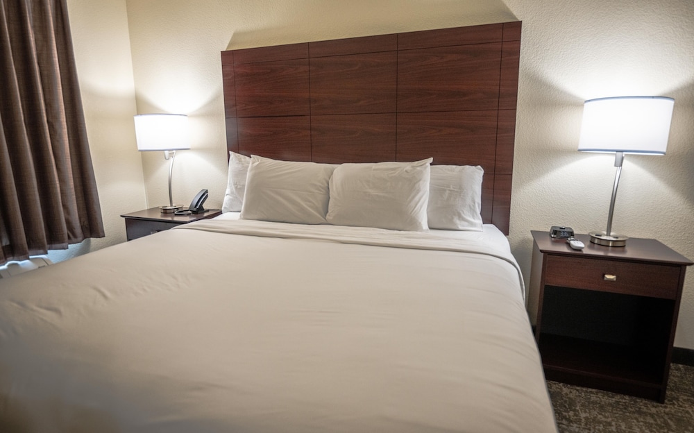 Cobblestone Hotel & Suites Lamar - photo 18