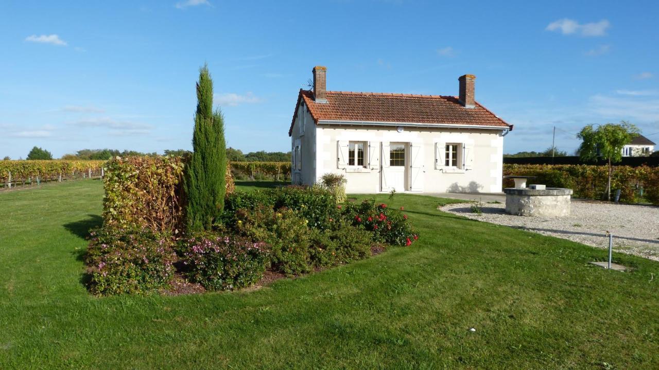 L Ecrin Au Coeur Des Vignes — Saint Georges Sur Cher