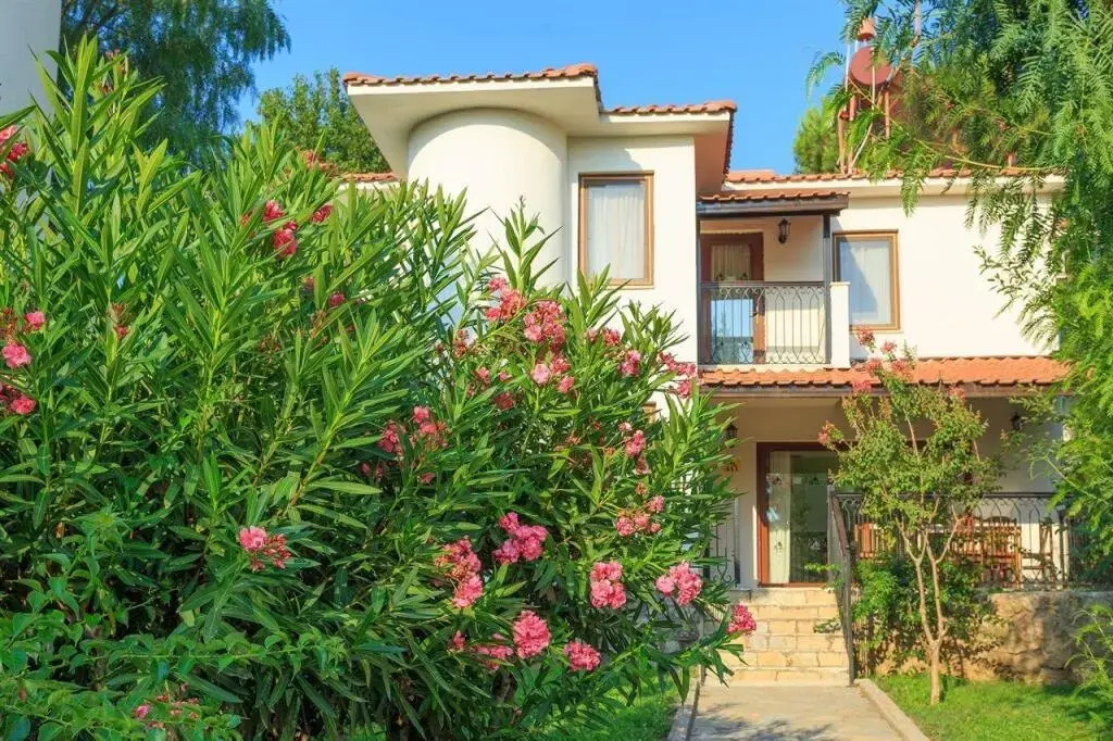 Pine Forest Hotel in Oeluedeniz, Turkey