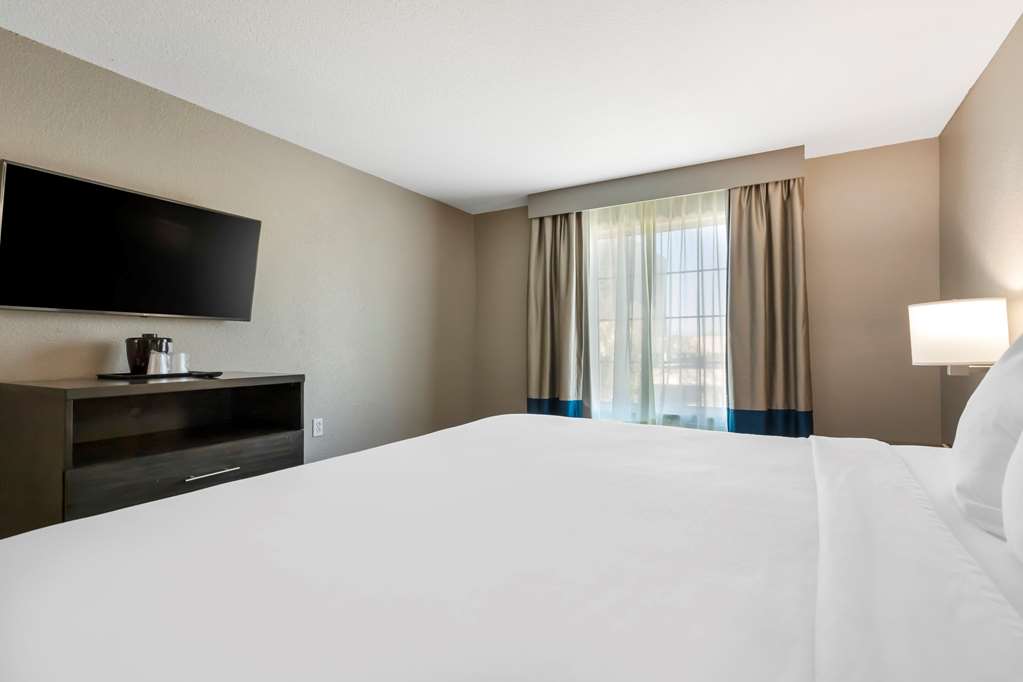 Comfort Inn and Suites Near Medical Center - photo 6
