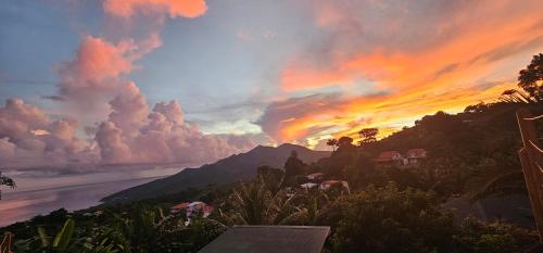 Kazamango in Trois-Rivieres, Guadeloupe