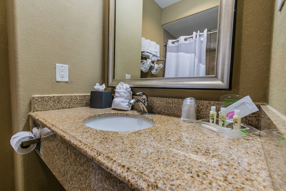 Holiday Inn Houston Webster by IHG - photo 28