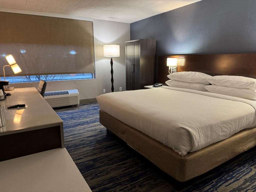Skyline Hotel Detroit Airport SureStay Collection by BW - photo 20