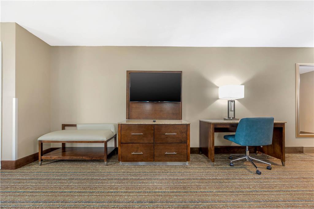 Comfort Suites Las Cruces I 25 North - photo 23