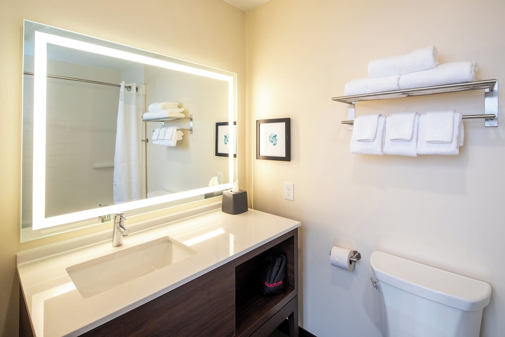 Holiday Inn & Suites Detroit Troy by IHG - photo 25