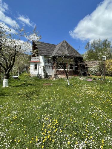 Cseke Kulcsosház in Praid, Romania