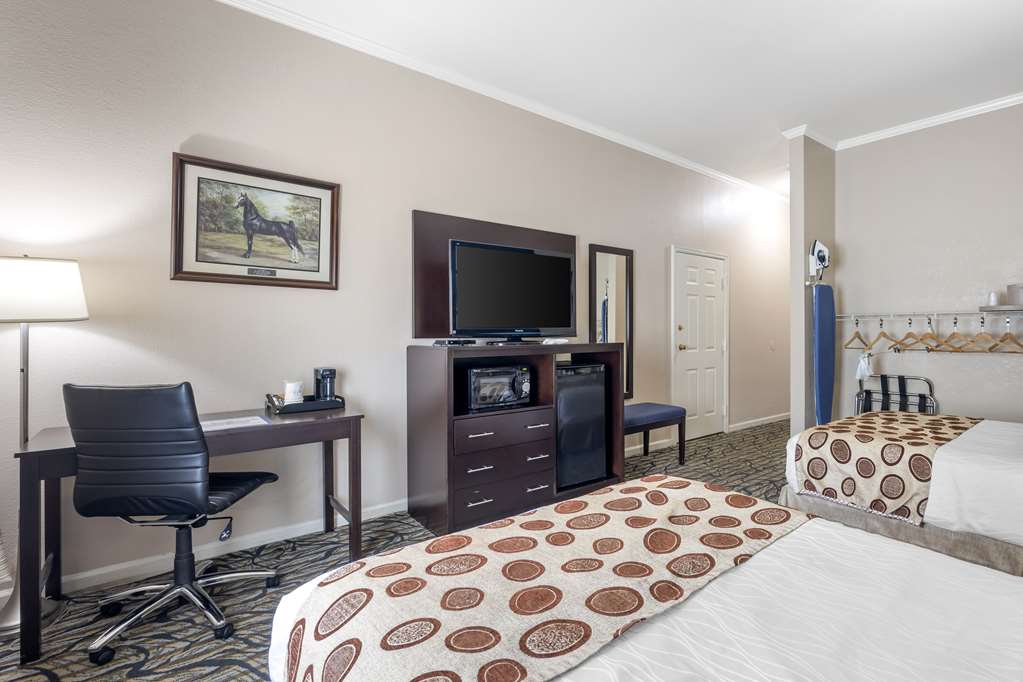 Best Western Spring Hill Inn & Suites - photo 14