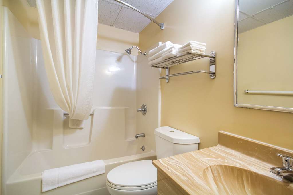 Econo Lodge Lansing Leavenworth - photo 15