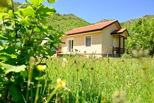 Jelena in Cetinje, Montenegro