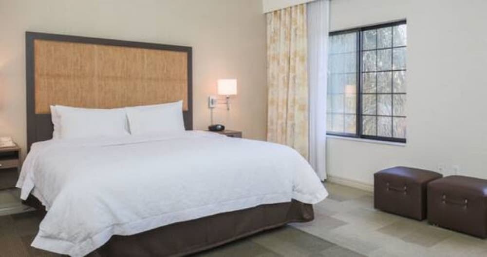 Hampton Inn And Suites Camarillo - photo 7