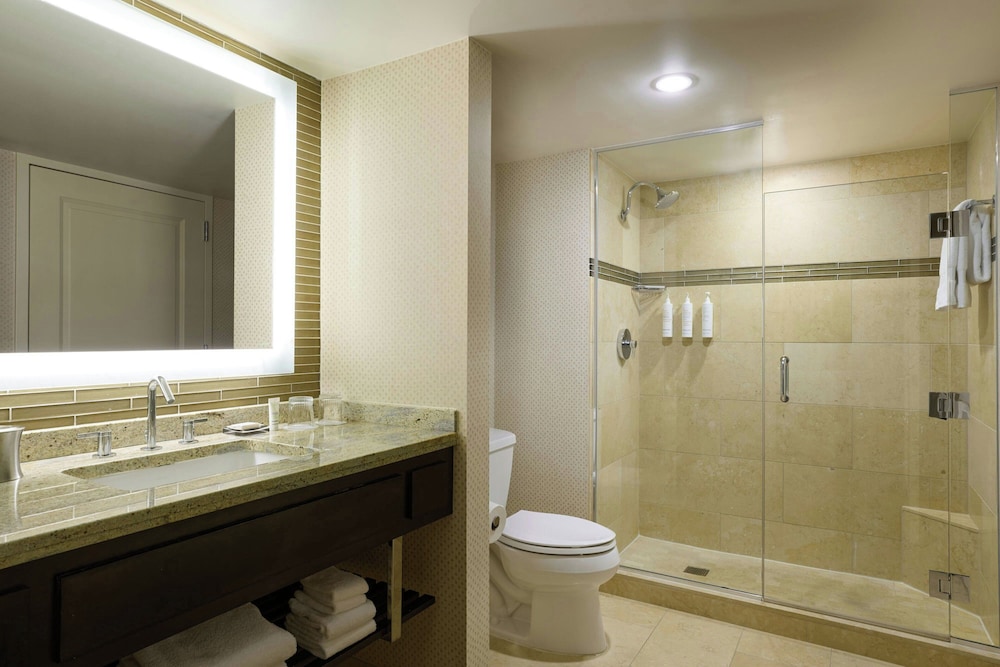 Marriott Chicago O'Hare - photo 45