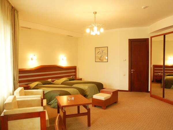 Hotel Vedzisi