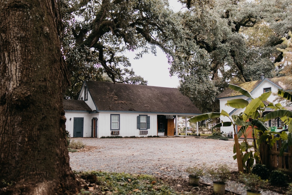 Mouton Plantation - photo 85