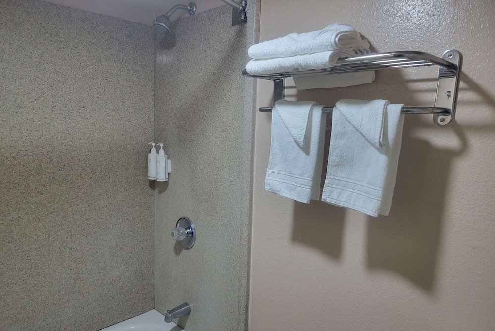 Rodeway Inn Memphis - photo 14