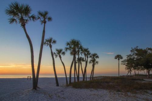 Gulf Place 7B - photo 19