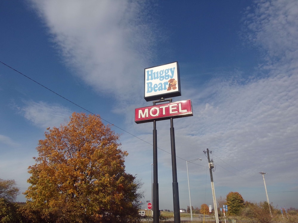 Huggy Bear Motel - photo 21