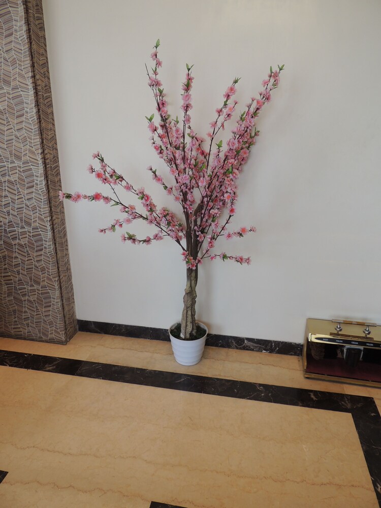 Hotel Kashish International — Kalyan — photo 4