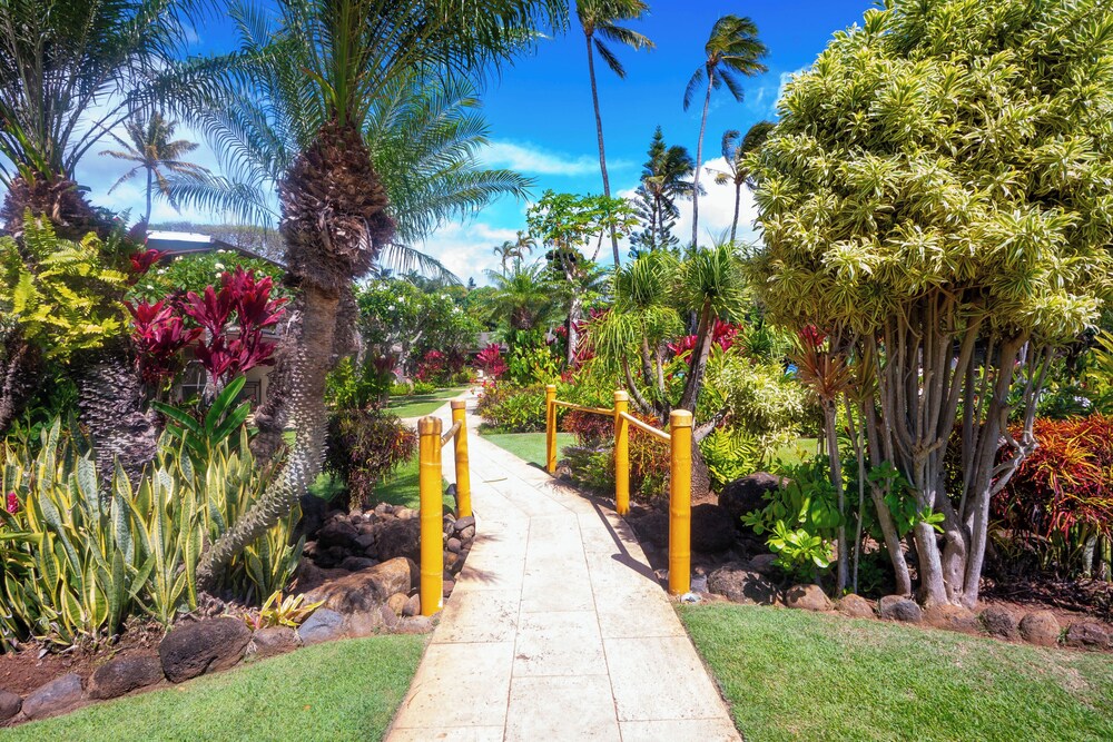 The Mauian Boutique Beach Studios on Napili Bay - photo 33