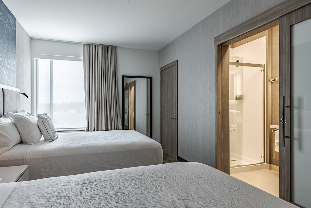 SpringHill Suites by Marriott Detroit Sterling Heights - photo 30