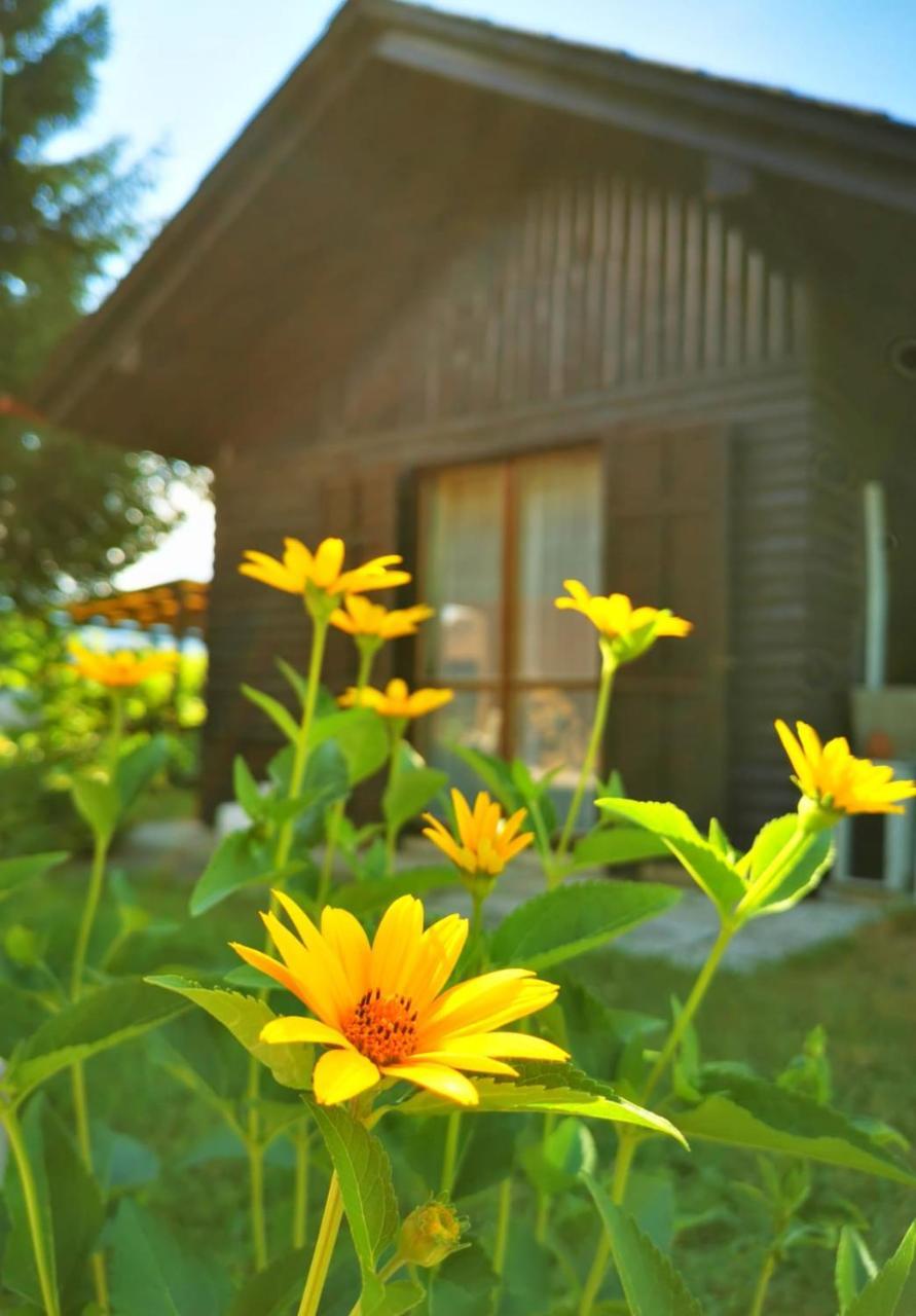 Merikotka A Cozy Wooden Cottage Slovenia 13020908 — Braslovce