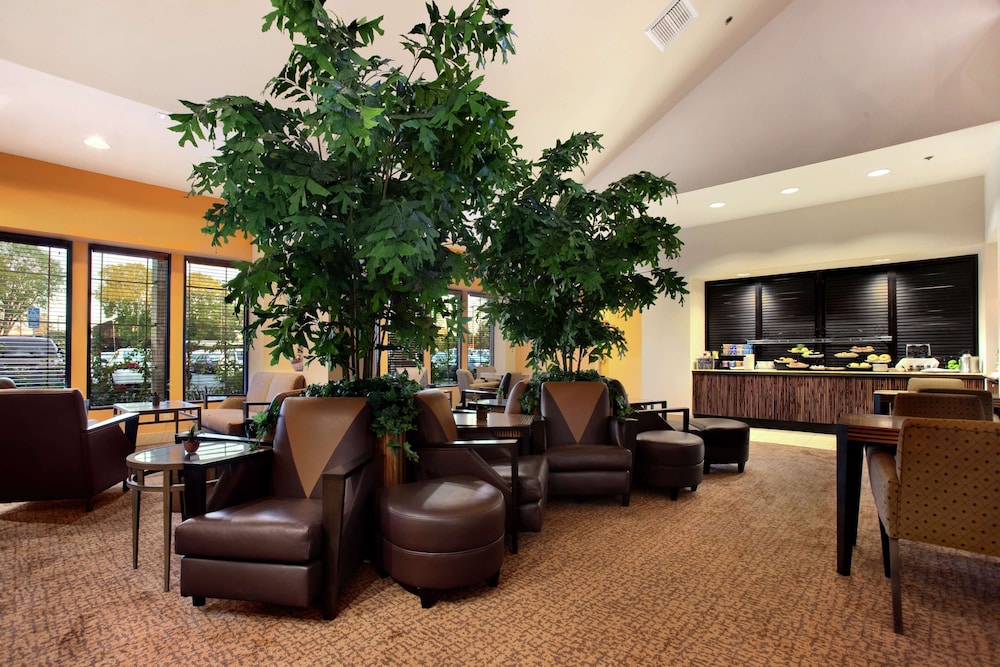 Hilton Stockton - photo 3