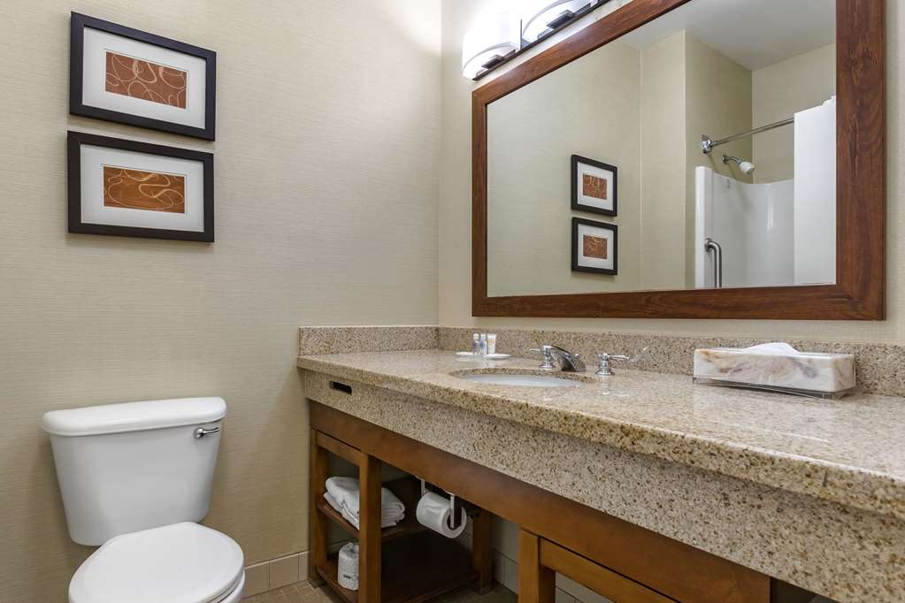 Comfort Suites Coralville I 80 - photo 27