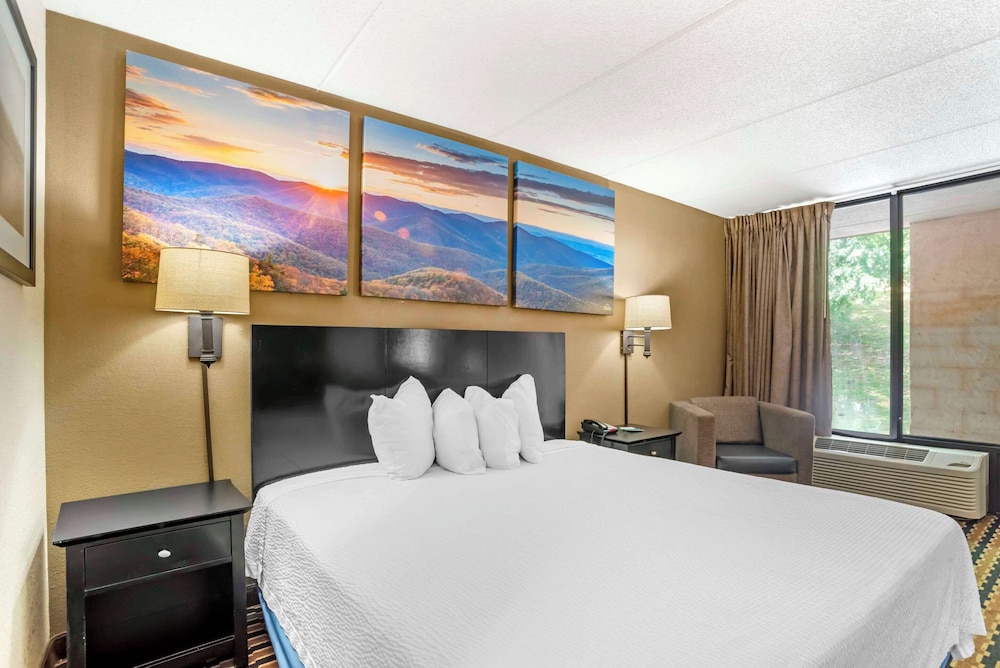 Quality Inn near Speedway - photo 14