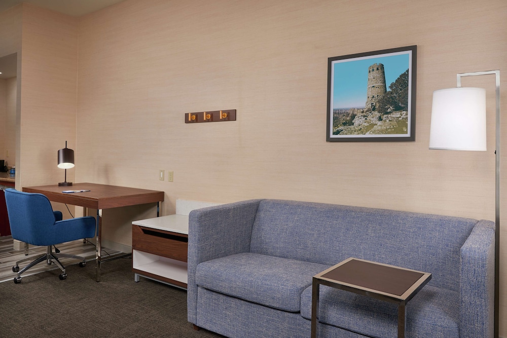 Hampton Inn & Suites Phoenix Surprise - photo 9