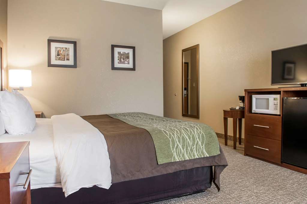 Comfort Inn Edinburg South — hotel in Edinburg