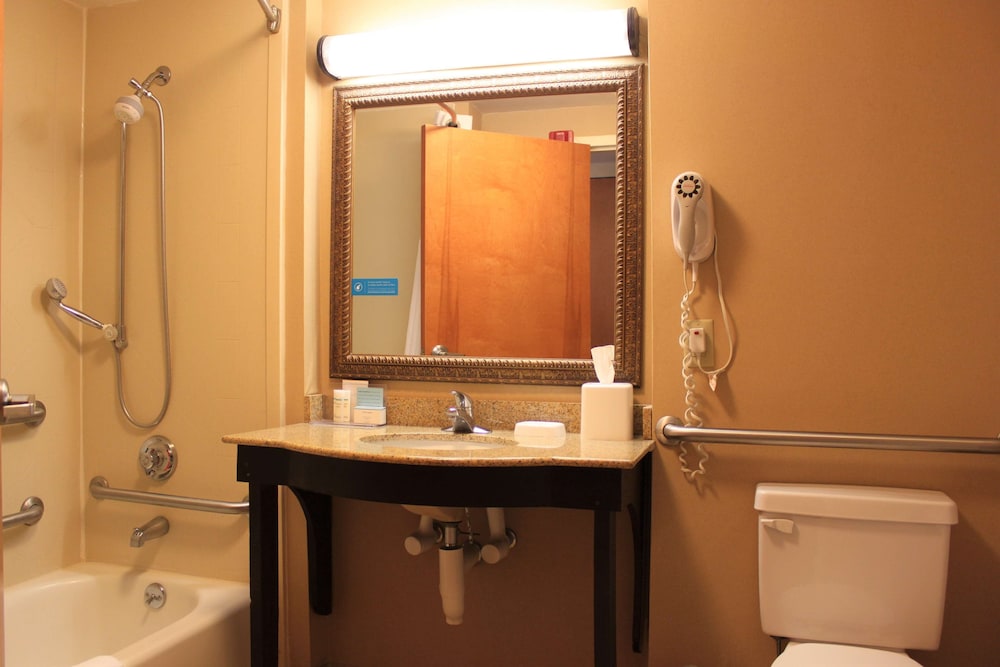 Hampton Inn Americus - photo 22