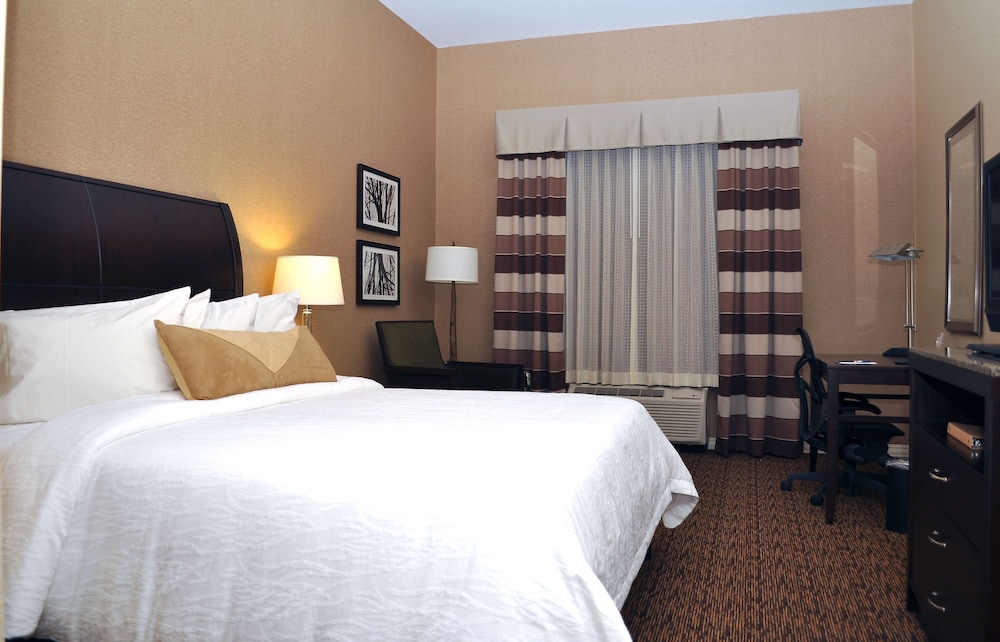 Hilton Garden Inn St. Louis Airport - photo 17