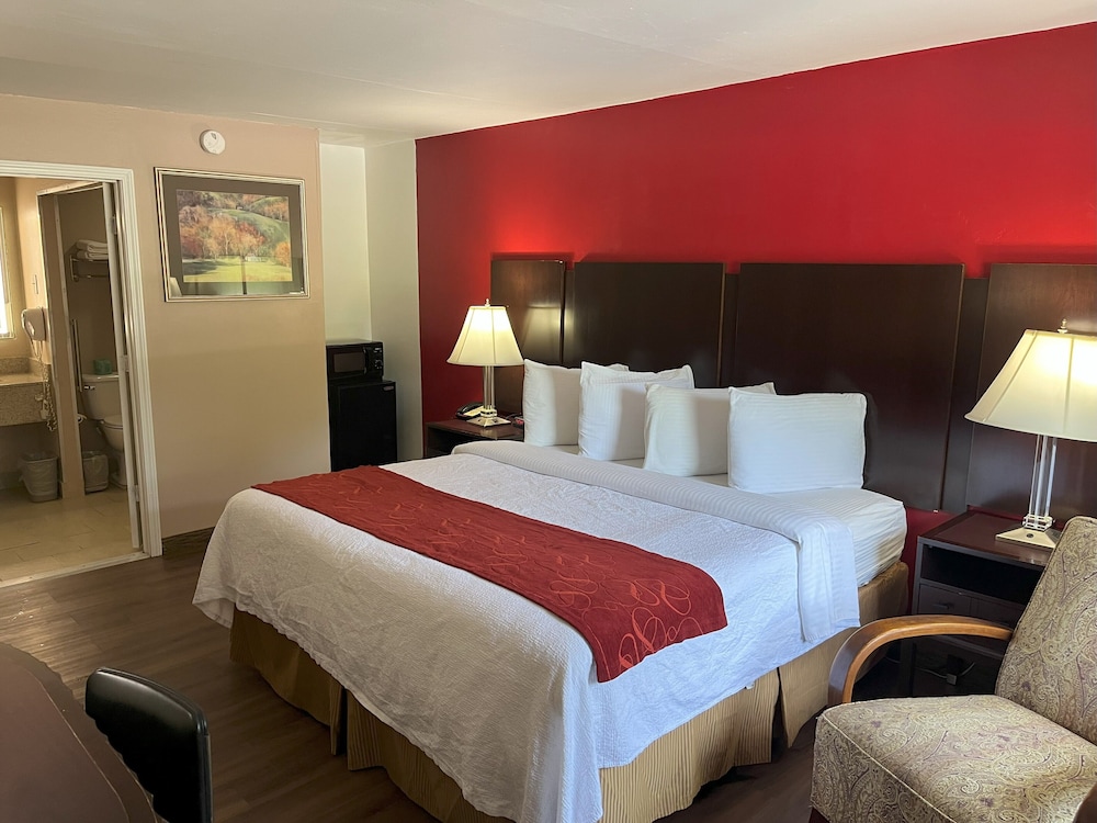 Pine Tree Inn - photo 10