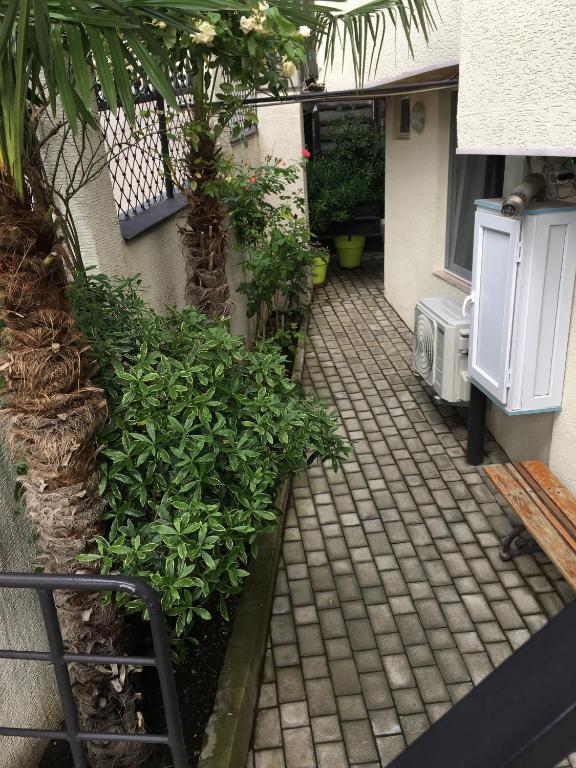 10 b shindisi street Tbilisi