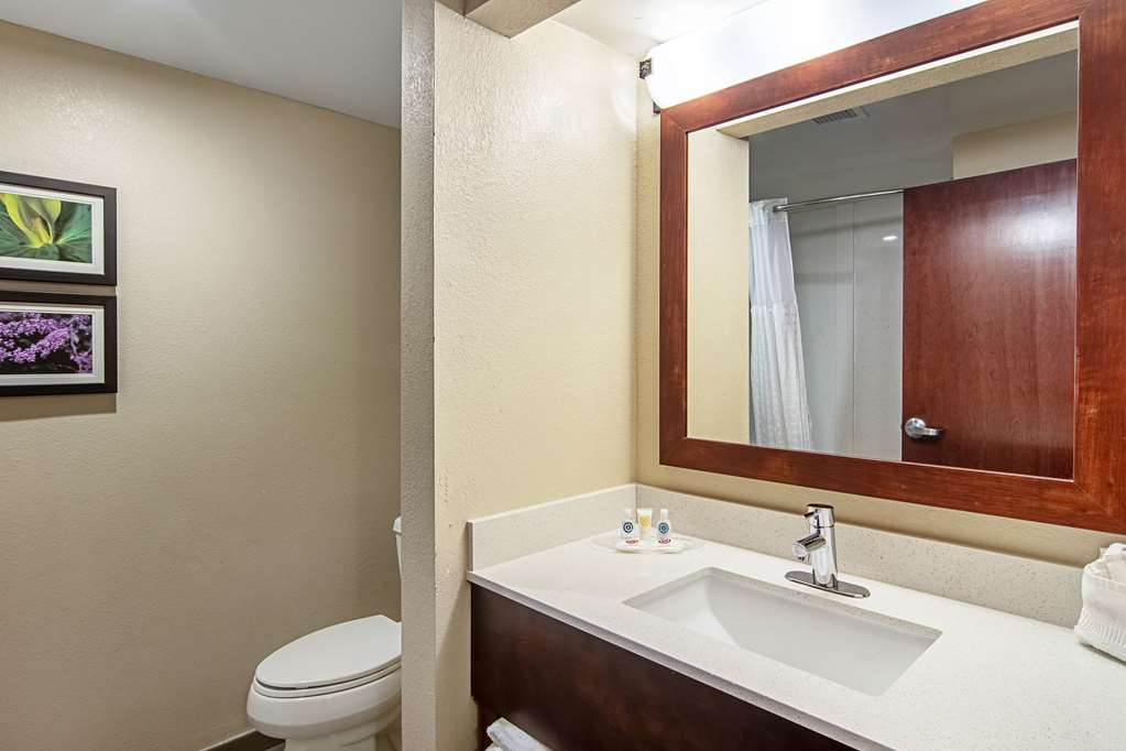 Comfort Suites Knoxville Airport - photo 11