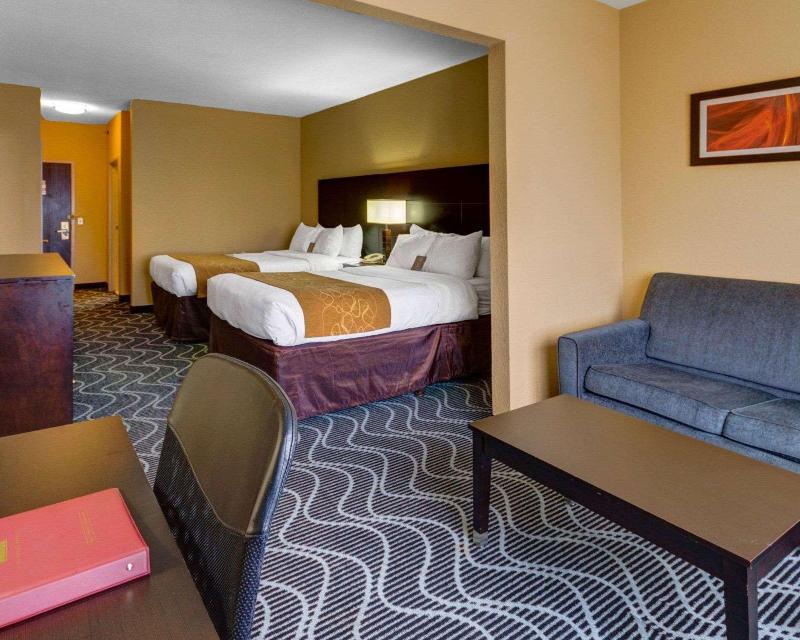 Comfort Suites Lake Ray Hubbard - photo 6