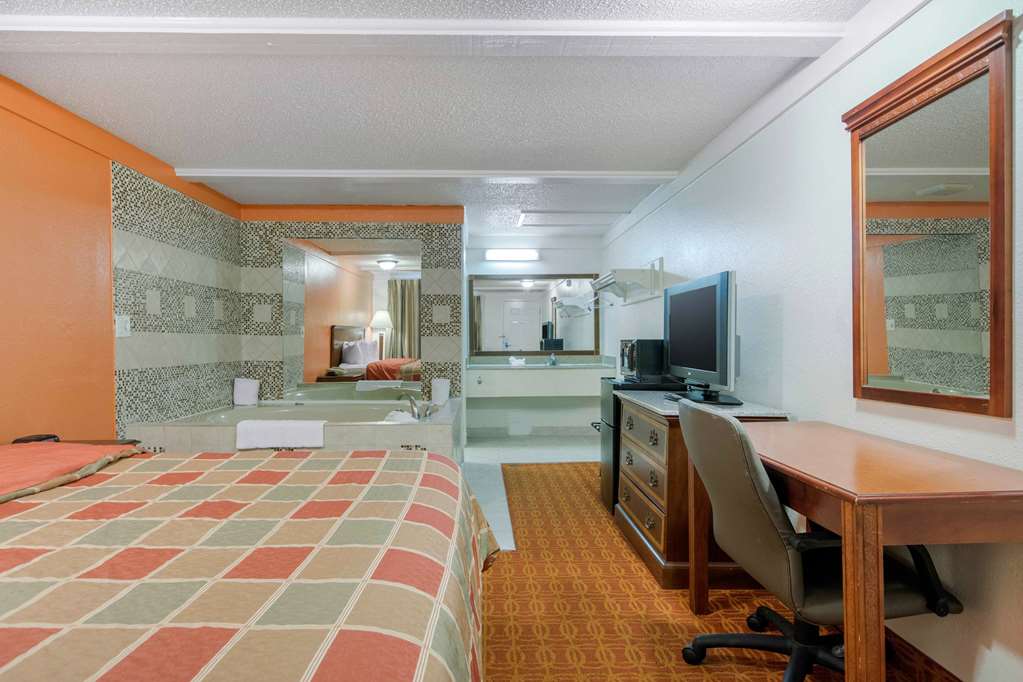 Rodeway Inn Auburn Hills Detroit - photo 19