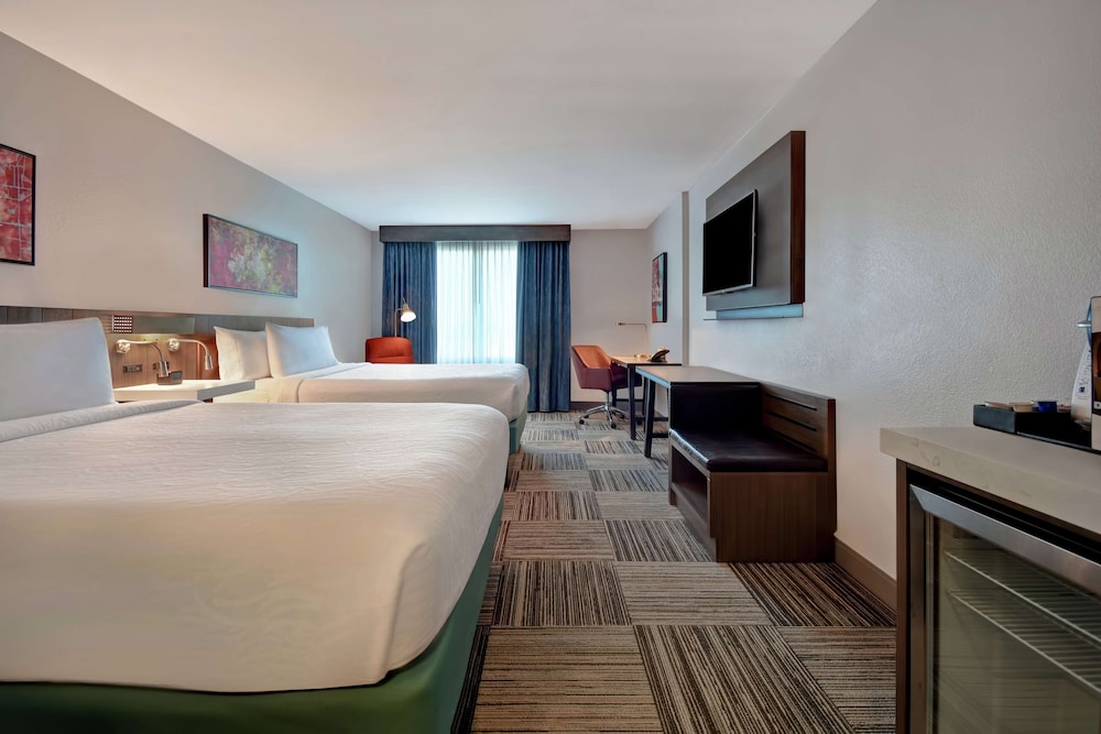 Hilton Garden Inn Houston Galleria Area - photo 9