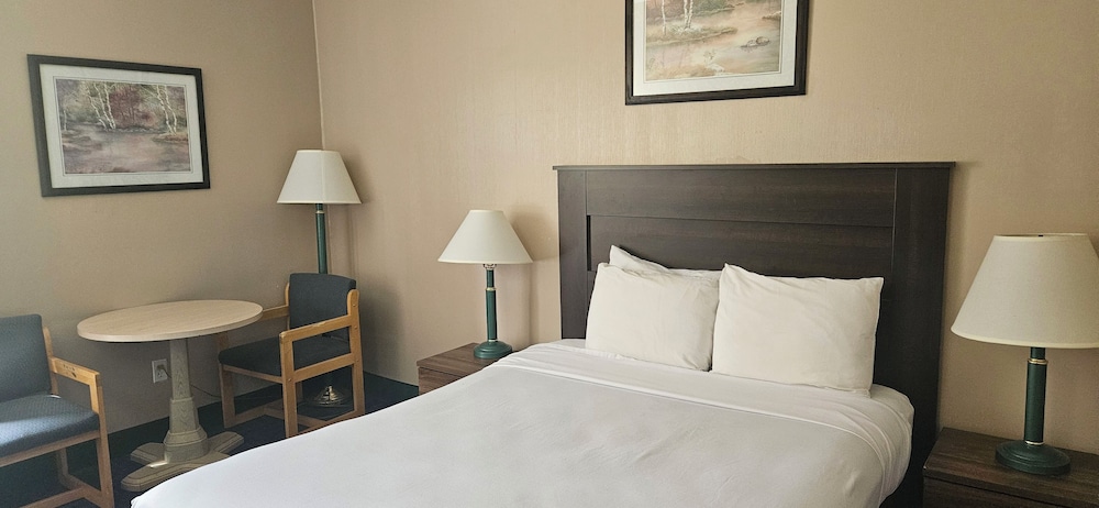 Bellis Inn - photo 20
