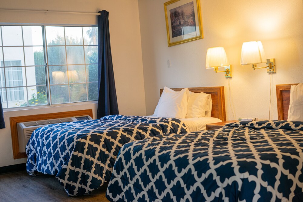 99 Palms Inn & Suites - photo 15