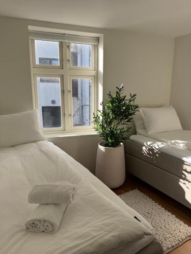 A Place To Stay Stavanger free parking apartment 5 — 4-Star Luxury Hotel in Stavanger, Norway