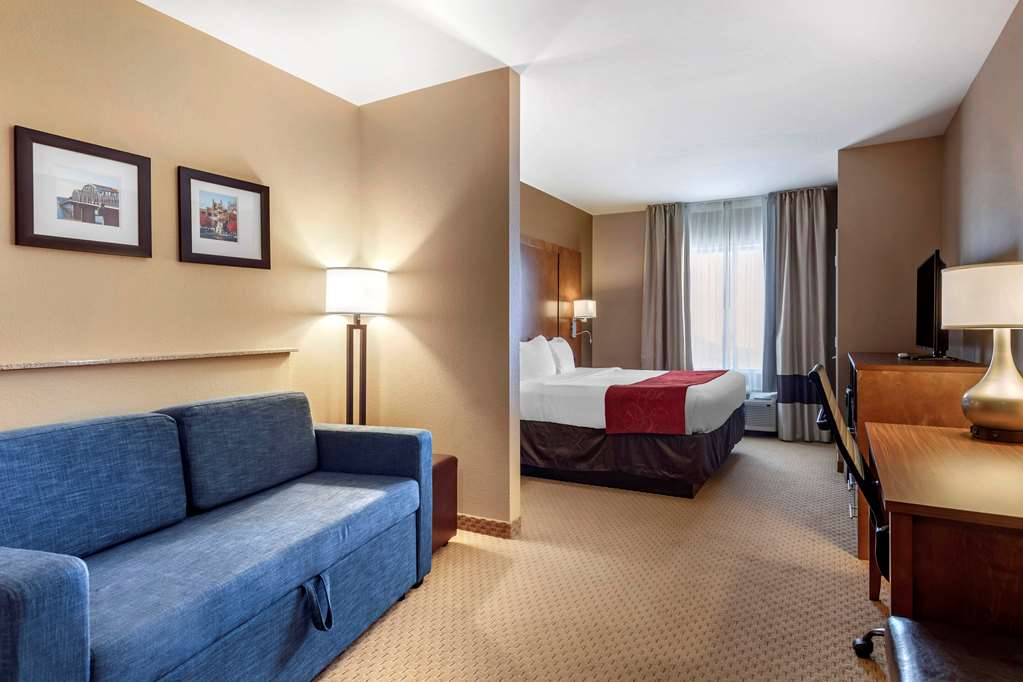 Comfort Suites Florence Shoals Area - photo 7