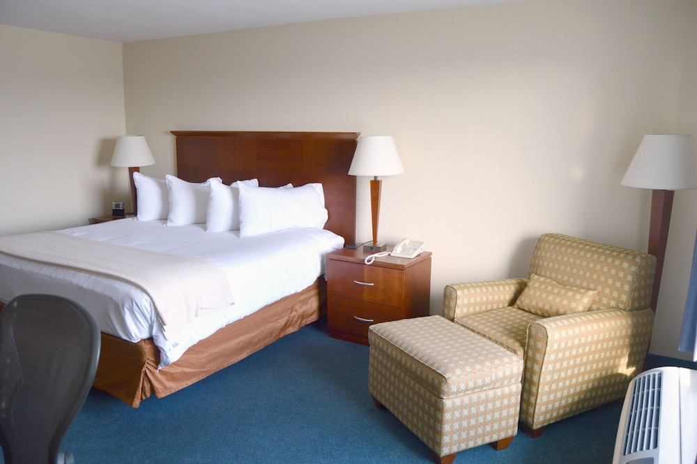 Hampton House Hotel - photo 7