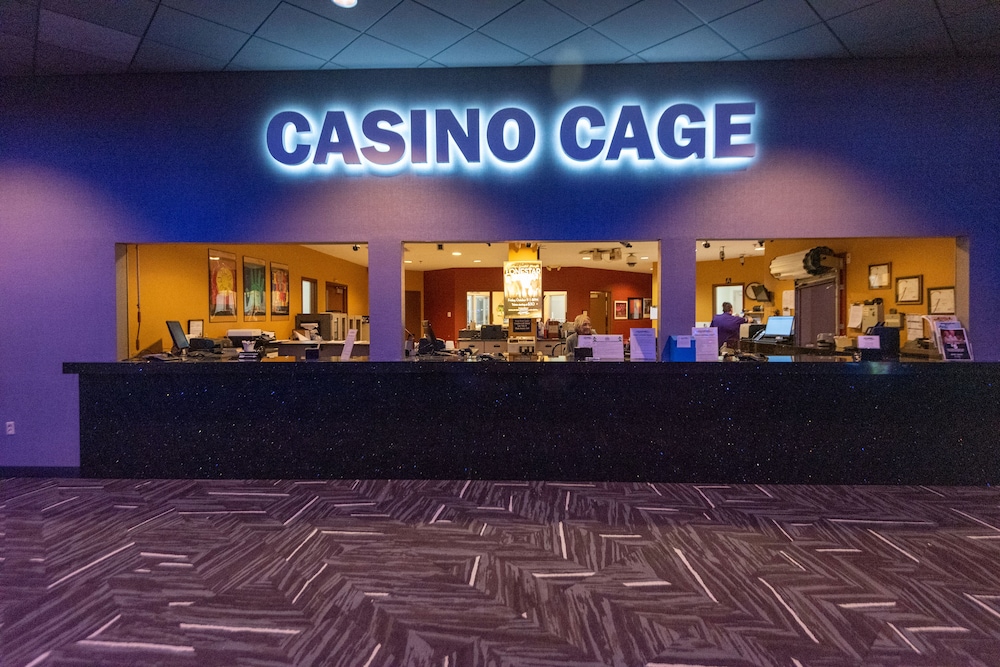 Royal River Casino and Hotel - photo 25